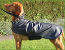 New online for 2016, take a look at our fantastic new range of dog coats