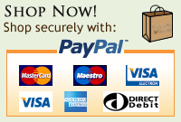 Paypal shop securely