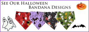 Kocokookie Kreations Halloween Shop